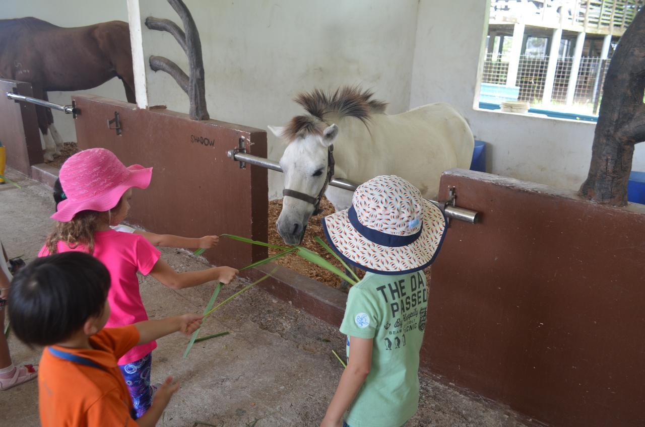 Sinar Eco Resort Kampong Bukit Panjang Kültér fotó
