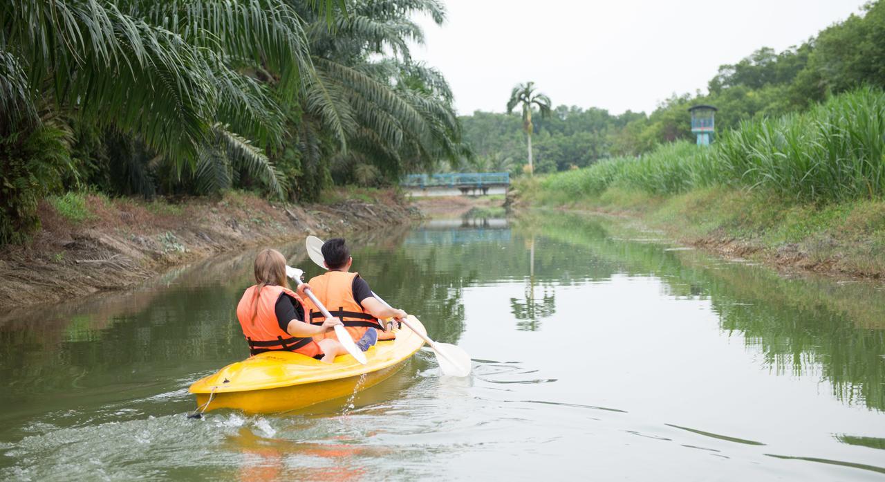 Sinar Eco Resort Kampong Bukit Panjang Kültér fotó