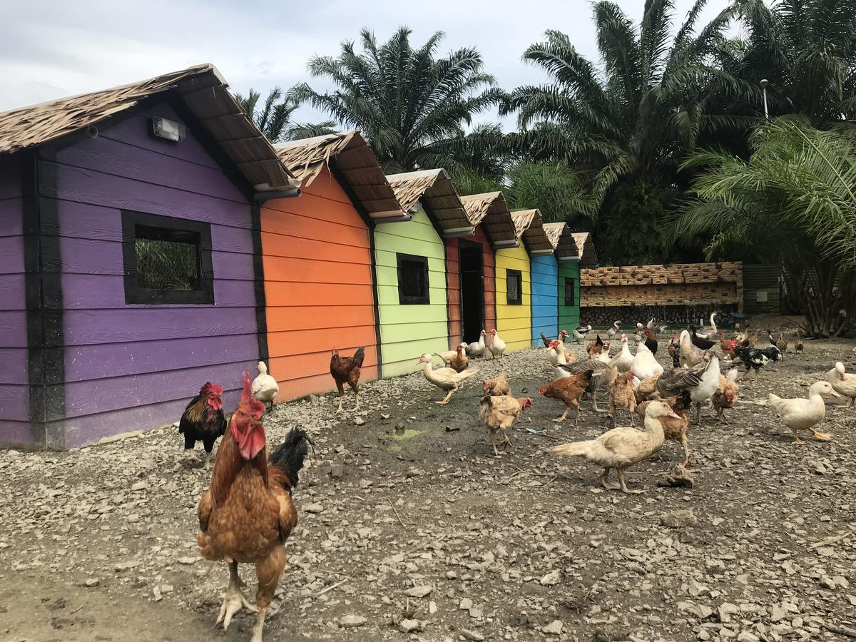 Sinar Eco Resort Kampong Bukit Panjang Kültér fotó