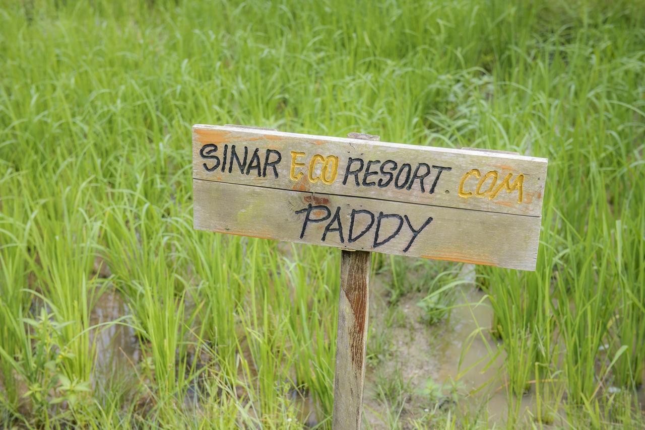 Sinar Eco Resort Kampong Bukit Panjang Kültér fotó