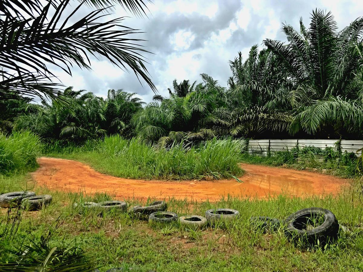 Sinar Eco Resort Kampong Bukit Panjang Kültér fotó